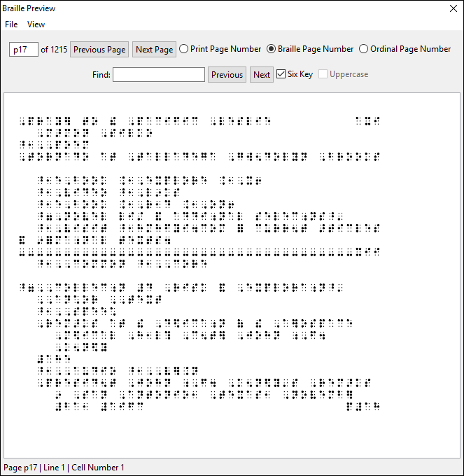Braille Preview window with Braille Page Number radio button selected