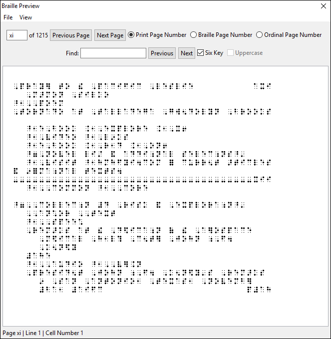 Braille Preview window with Print Page Number radio button selected